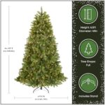 6.5 ft Pre-Lit Christmas Tree - Douglas Fir Artificial Tree with 650 Clear Lights & Stand | Feel Real Technology - Image 2