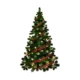 Christmas trees collection featuring various styles and sizes